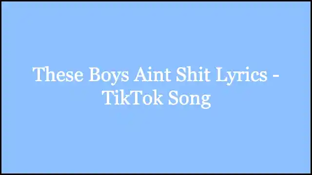 These Boys Aint Shit Lyrics - TikTok Song