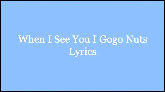 When I See You I Gogo Nuts Lyrics