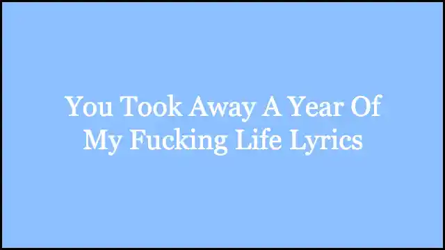 You Took Away A Year Of My Fucking Life Lyrics