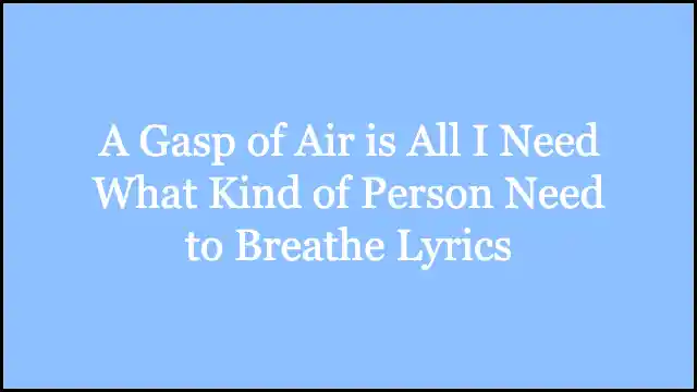 A Gasp of Air is All I Need What Kind of Person Need to Breathe Lyrics