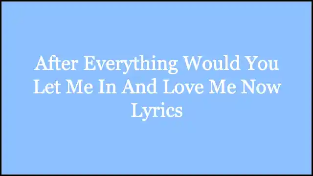 After Everything Would You Let Me In And Love Me Now Lyrics