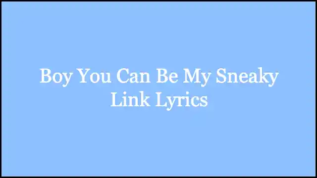 Boy You Can Be My Sneaky Link Lyrics
