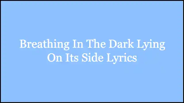 Breathing In The Dark Lying On Its Side Lyrics