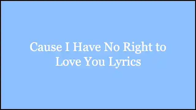 Cause I Have No Right to Love You Lyrics
