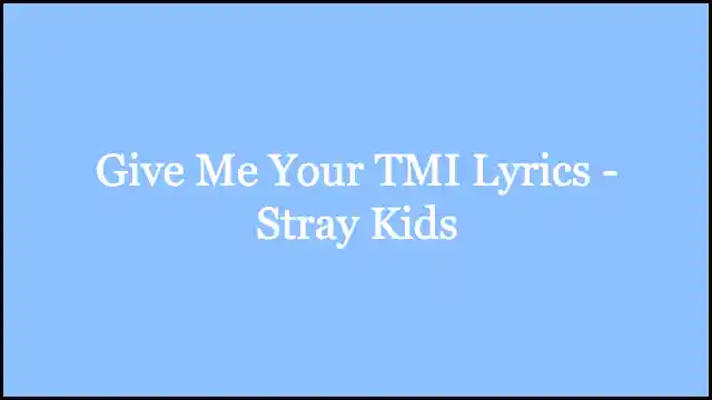 Give Me Your TMI Lyrics - Stray Kids