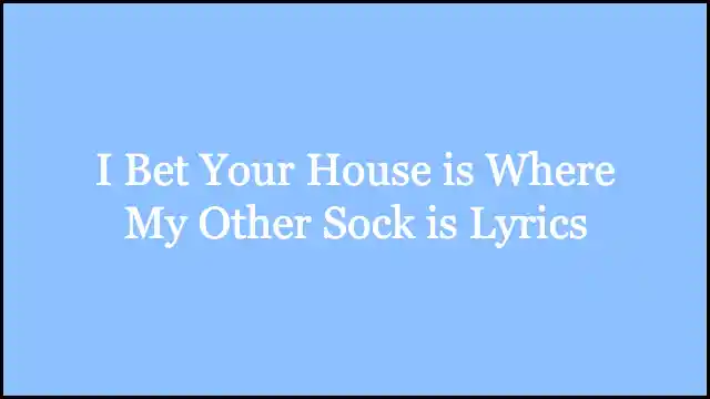 I Bet Your House is Where My Other Sock is Lyrics