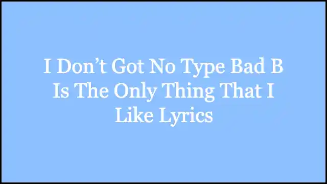 I Don’t Got No Type Bad B Is The Only Thing That I Like Lyrics