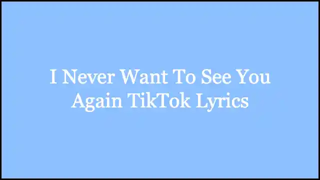 I Never Want To See You Again TikTok Lyrics