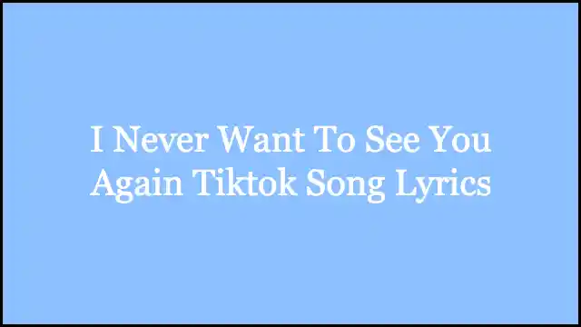I Never Want To See You Again Tiktok Song Lyrics