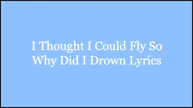 I Thought I Could Fly So Why Did I Drown Lyrics
