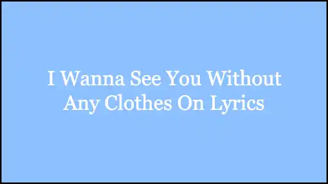 I Wanna See You Without Any Clothes On Lyrics