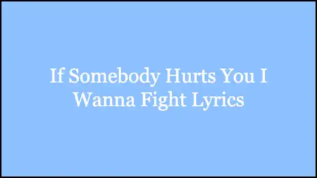 If Somebody Hurts You I Wanna Fight Lyrics