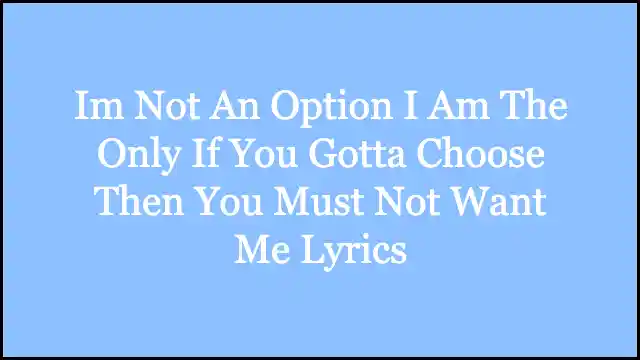 Im Not An Option I Am The Only If You Gotta Choose Then You Must Not Want Me Lyrics