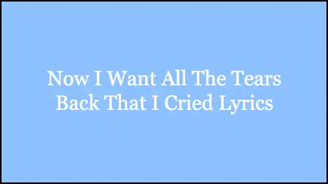 Now I Want All The Tears Back That I Cried Lyrics