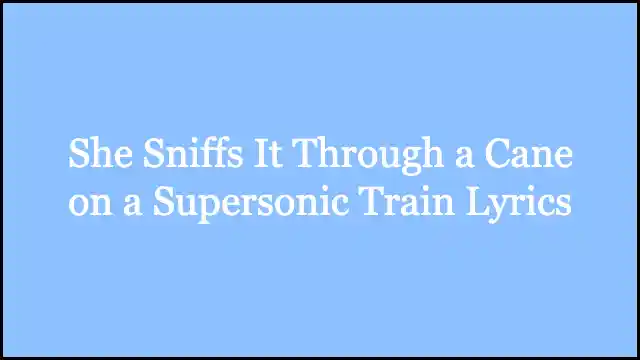 She Sniffs It Through a Cane on a Supersonic Train Lyrics