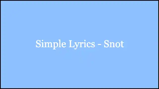Simple Lyrics - Snot