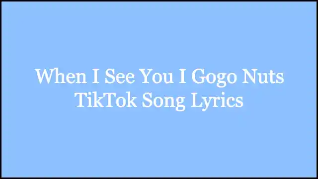 When I See You I Gogo Nuts TikTok Song Lyrics