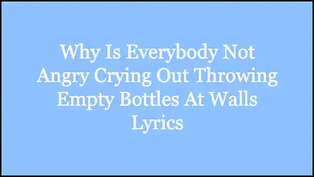 Why Is Everybody Not Angry Crying Out Throwing Empty Bottles At Walls Lyrics