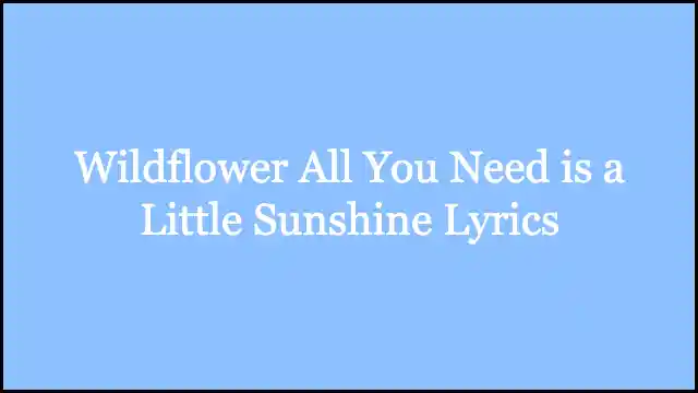 Wildflower All You Need is a Little Sunshine Lyrics