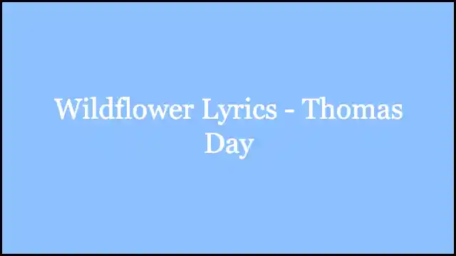 Wildflower Lyrics - Thomas Day