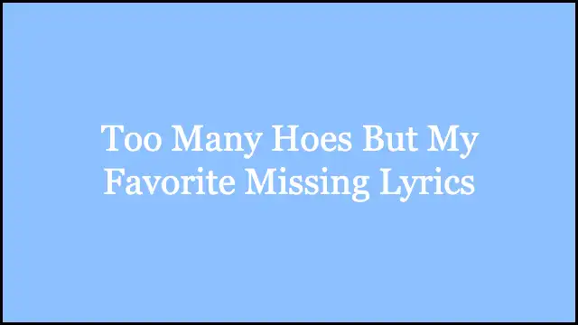 Too Many Hoes But My Favorite Missing Lyrics