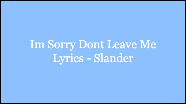 Im Sorry Dont Leave Me Lyrics - Slander