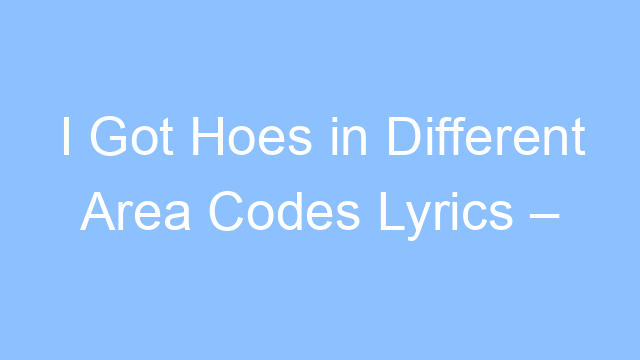 i got hoes in different area codes lyrics tiktok song 19234