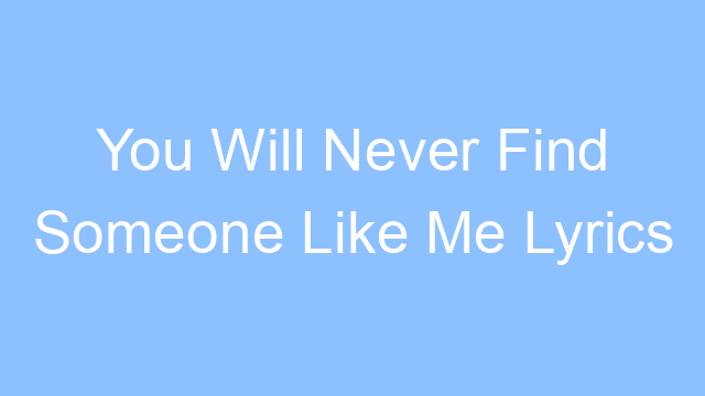 you will never find someone like me lyrics 19430