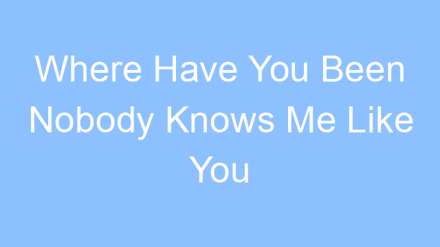 where have you been nobody knows me like you lyrics 23880