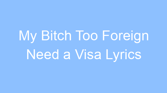 my bitch too foreign need a visa lyrics 19541