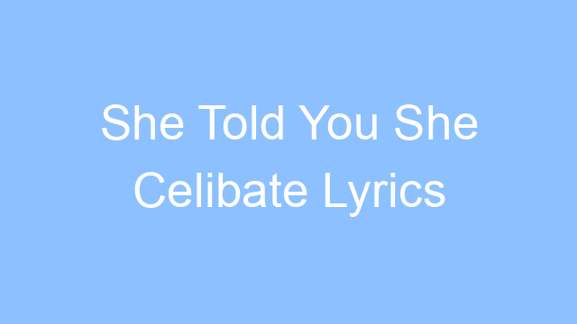 she told you she celibate lyrics 25182